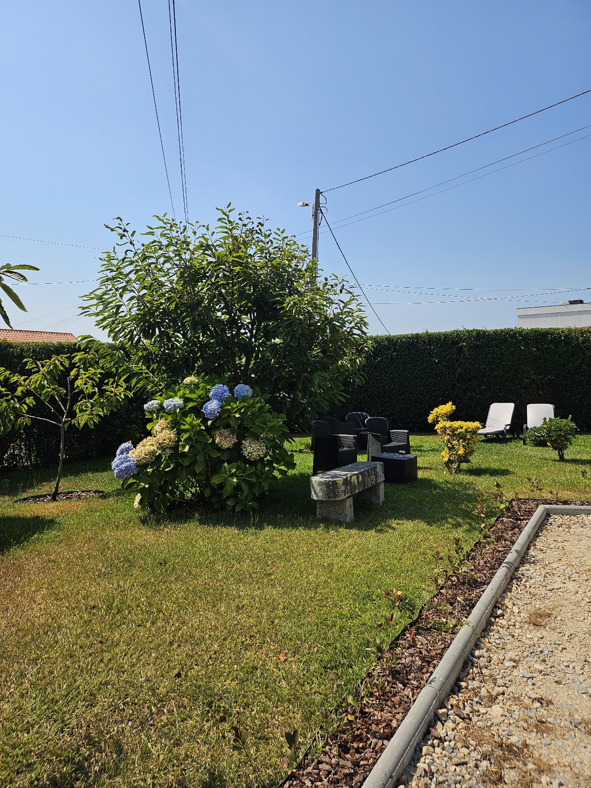 VILLA RIBEIRO photo 5, guesthouse accommodation in Vila Praia de Ancora on the Camino Portuguese