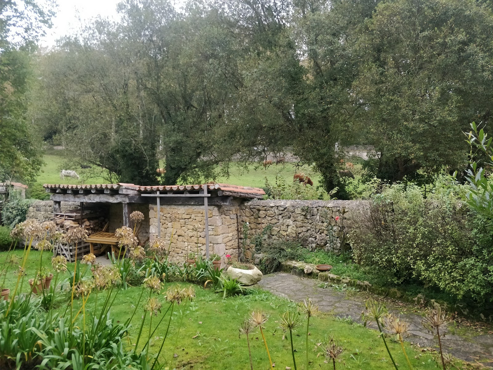 Apartamentos Tarrio photo 10, apartment accommodation in Santillana del Mar on the Camino del Norte
