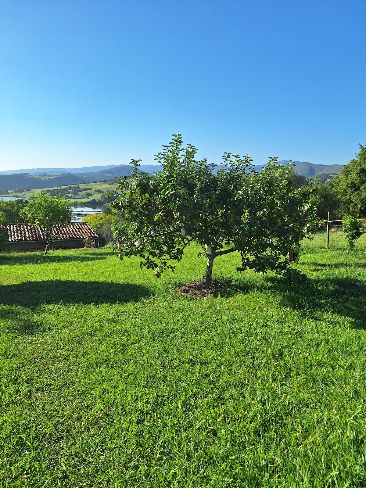 Fuente el Hayedo photo 8, albergue accommodation in San Vicente de la Barquera on the Camino del Norte