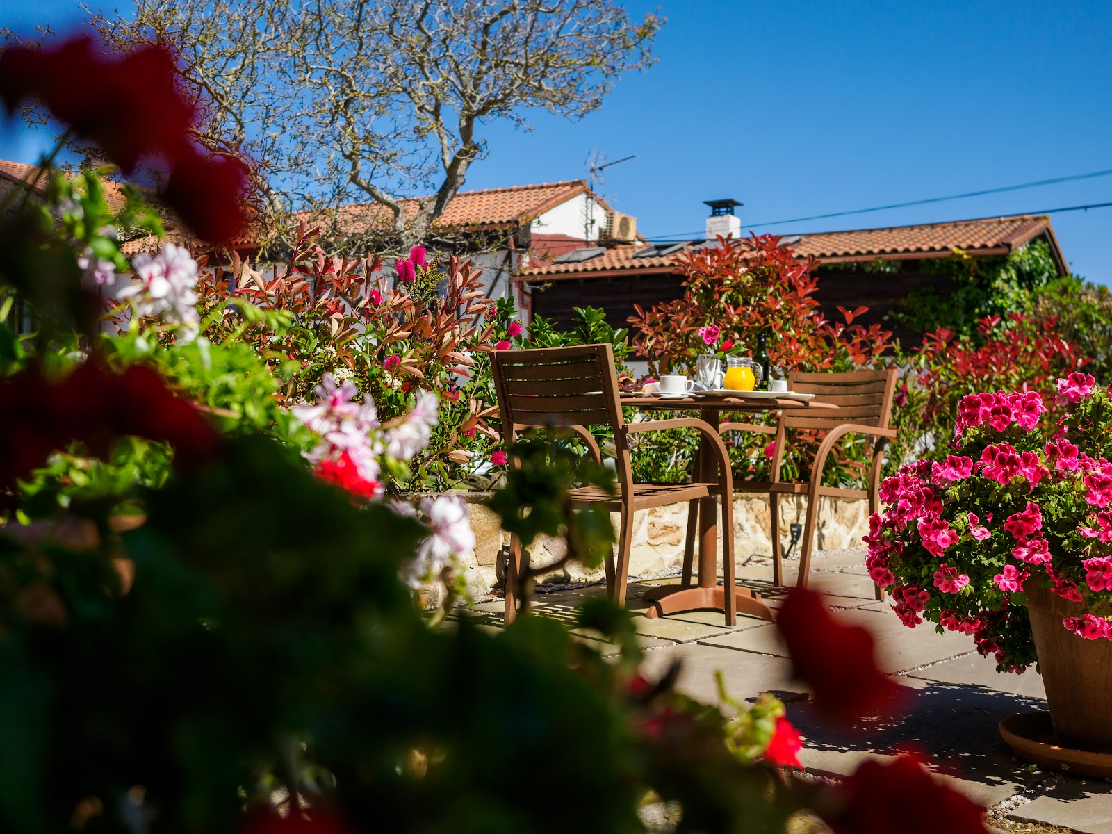 La Casa de Don Pablo photo 5, guesthouse accommodation in Somo on the Camino del Norte