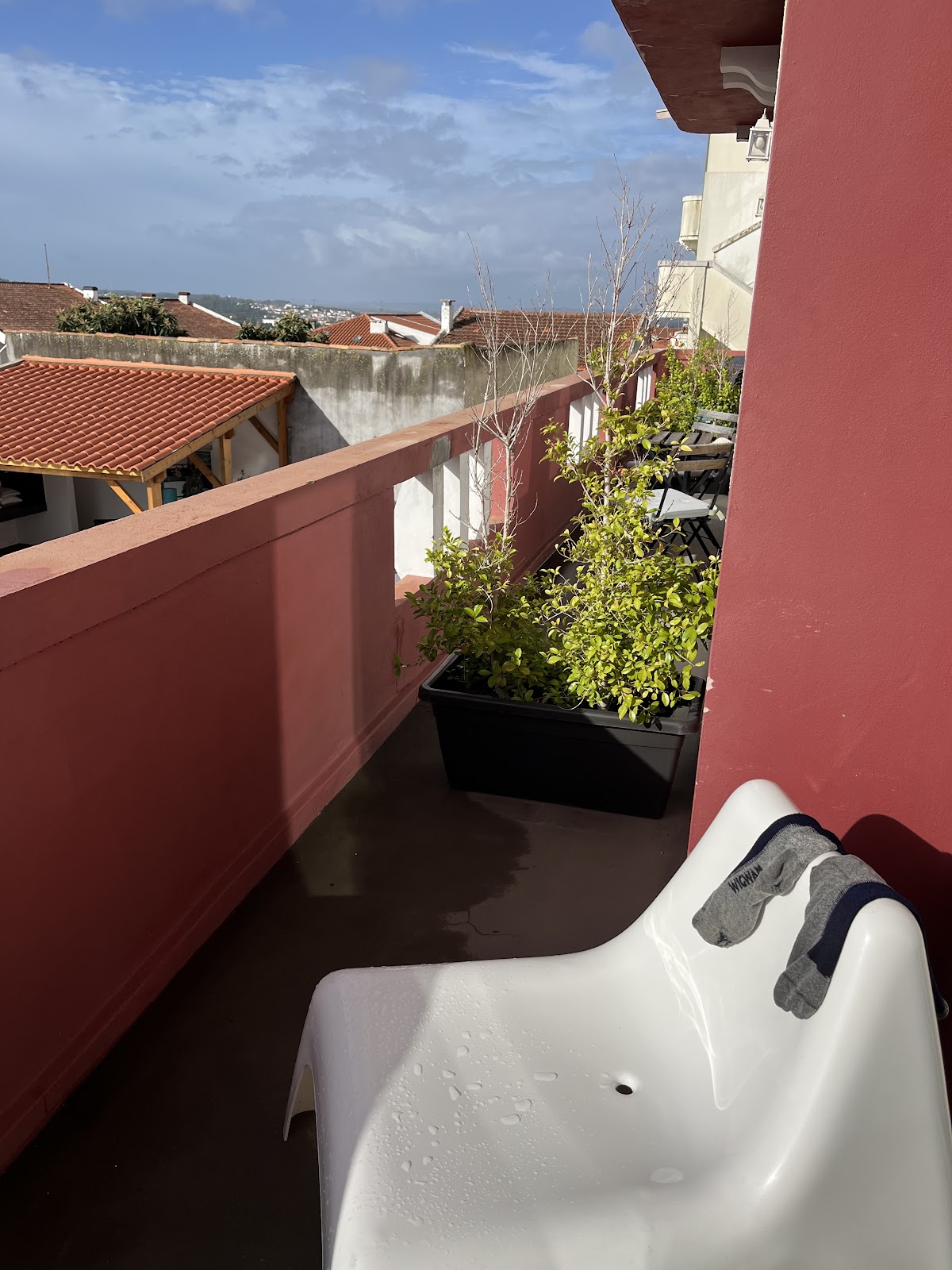 Casa dos Carvalhos photo 10, guesthouse accommodation in Coimbra on the Camino Portuguese