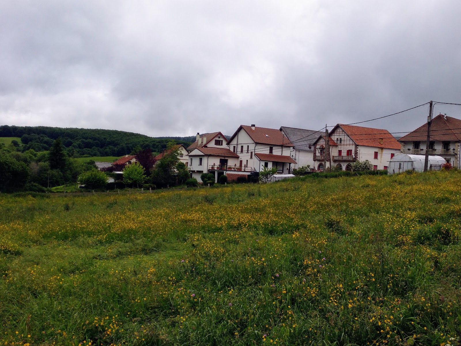 Casa Rural Goizeder II photo 6, apartment accommodation in Espinal on the Camino Frances
