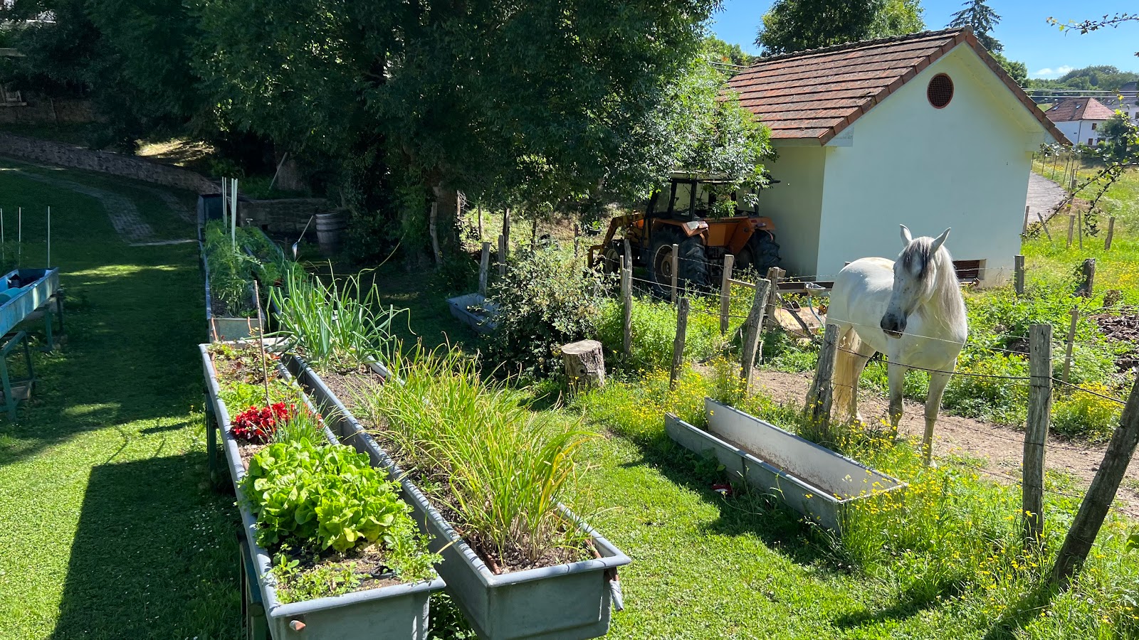Casa Rural Roncesvalles photo 5, pension accommodation in Espinal on the Camino Frances