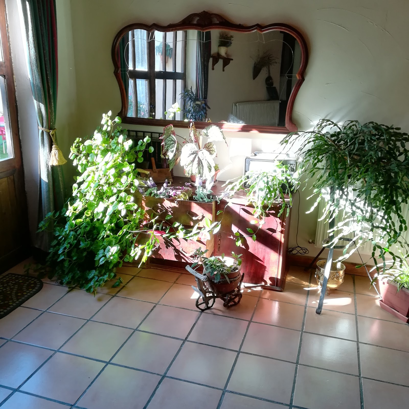 Albergue San Pelayo photo 15, hostel accommodation in Puente Villarente on the Camino Frances