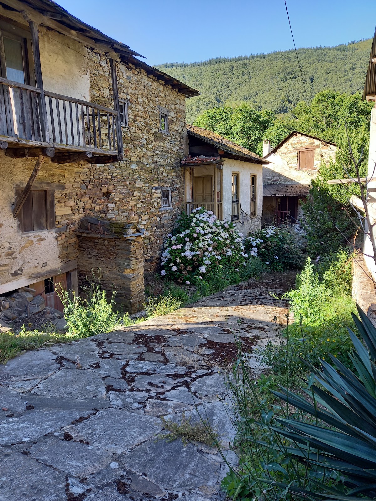 Pereje Garden photo 19, accommodation listing in Pereje on the Camino Frances