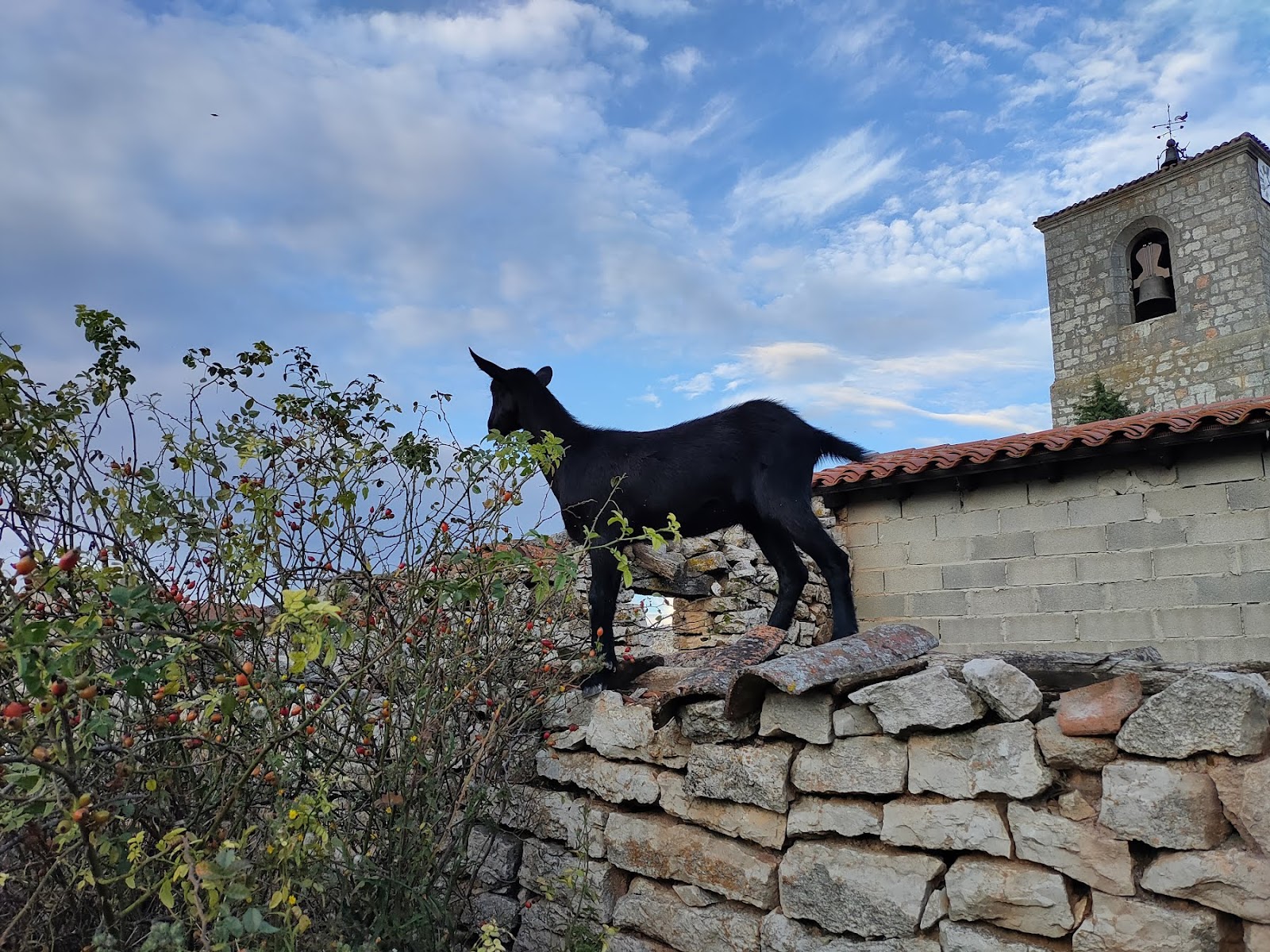 Hostel La Plazuela Verde photo 4, albergue accommodation in Atapuerca on the Camino Frances