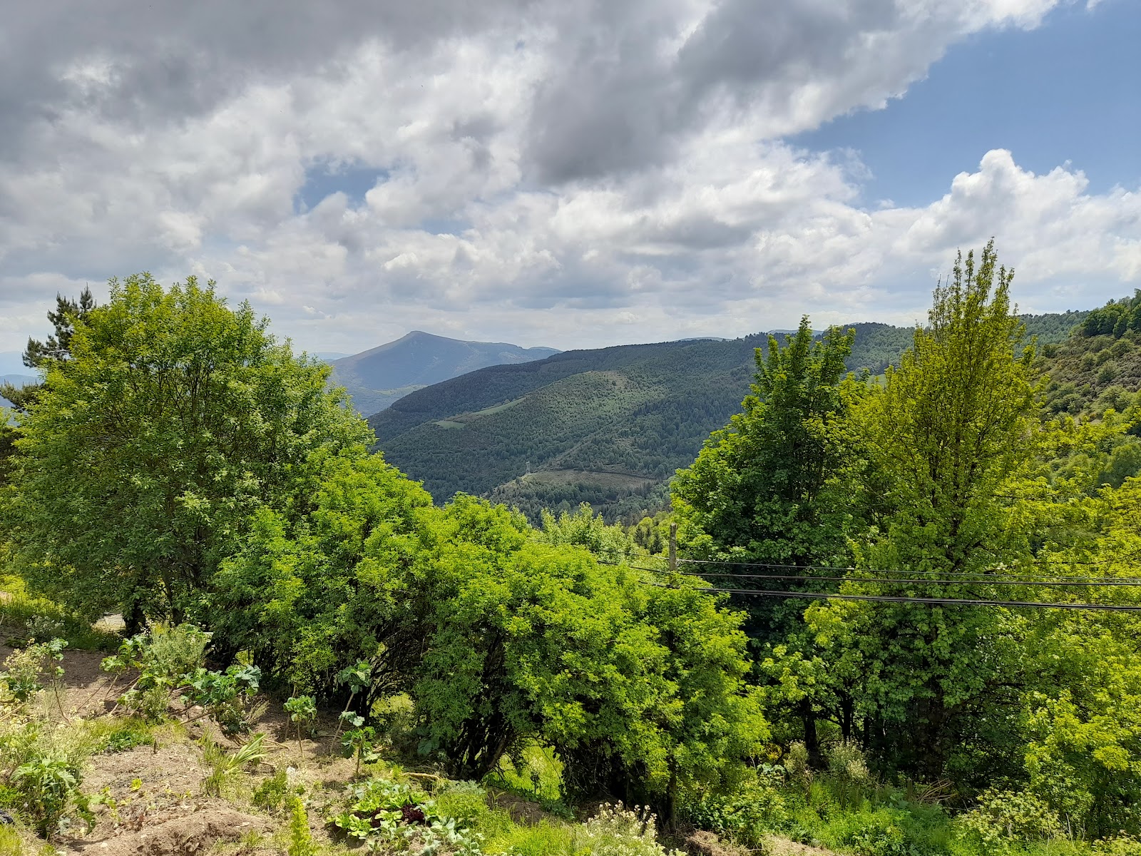Casa Navarro photo 15, guesthouse accommodation in O Cebreiro on the Camino Frances