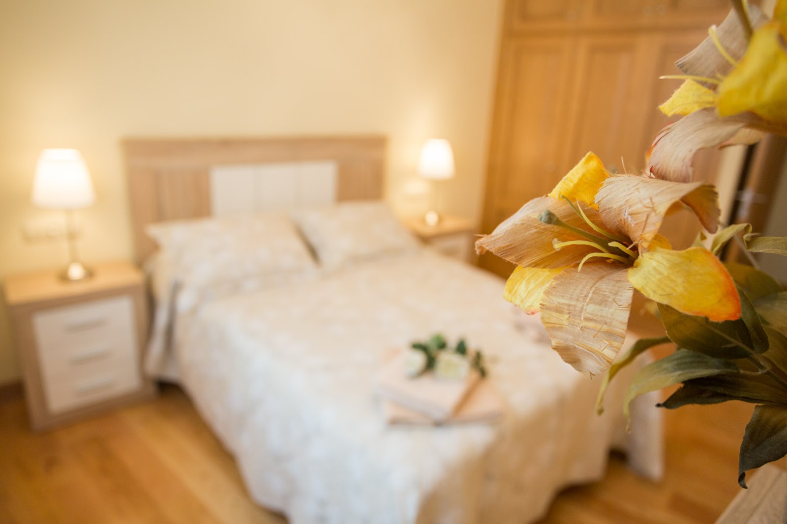 Casa Goros, apartment accommodation in Melide on the Camino Frances