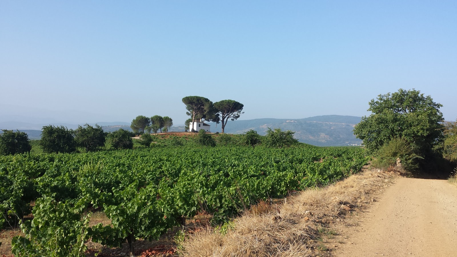 Hostal Ultreia & wineshop photo 10, pension accommodation in Villafranca del Bierzo on the Camino Frances