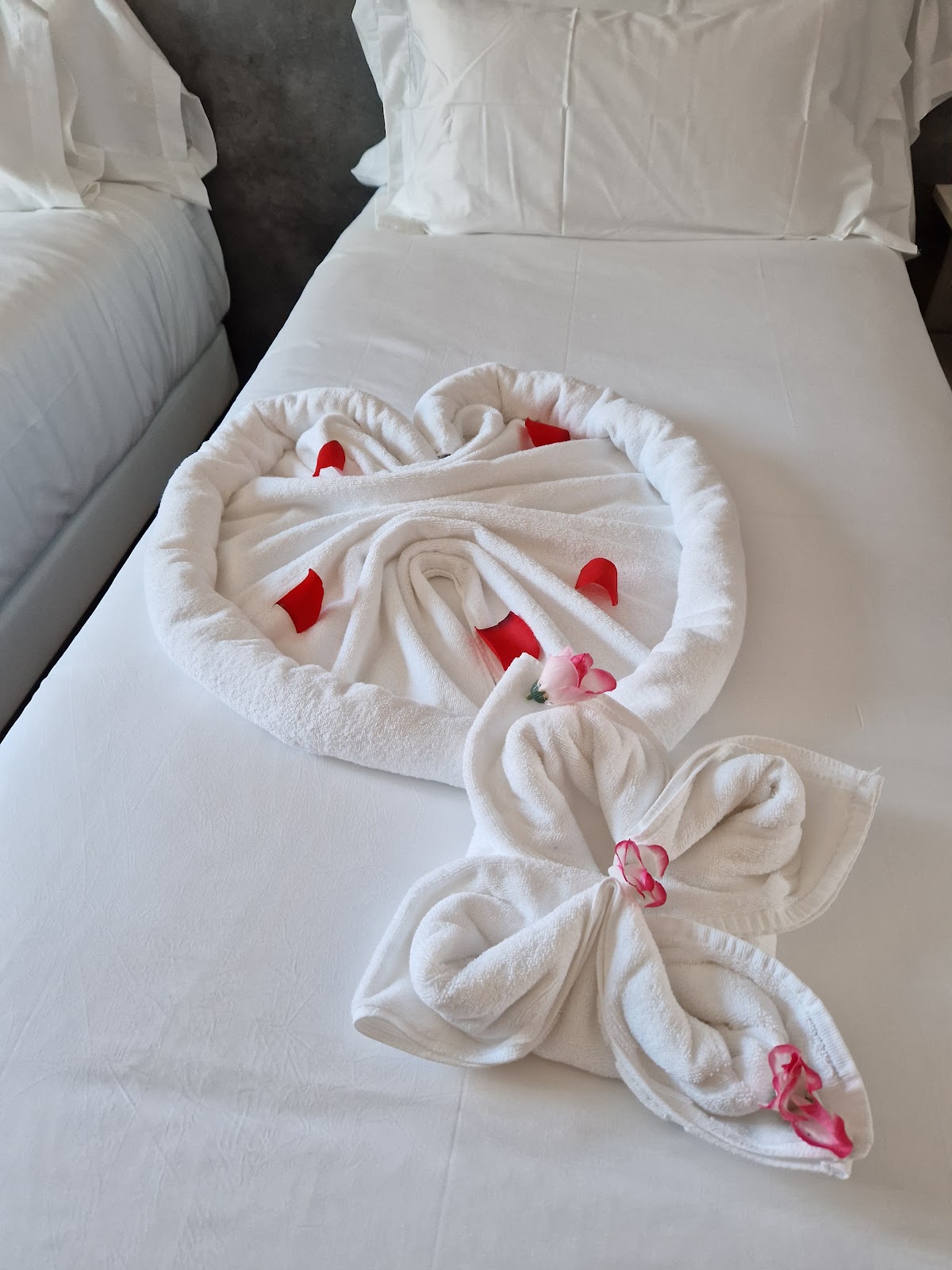 Hotel Neru con Encanto photo 9, hotel accommodation in León on the Camino Frances