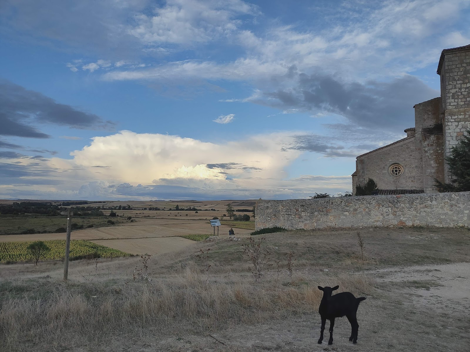Hostel La Plazuela Verde photo 5, albergue accommodation in Atapuerca on the Camino Frances