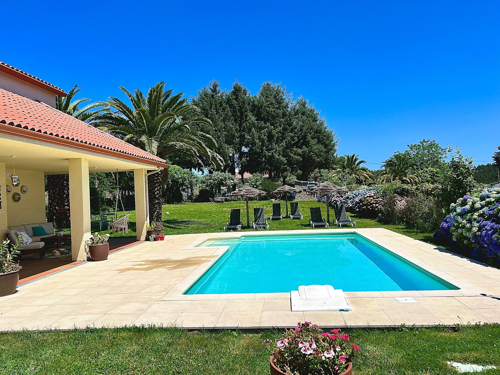 Mar de Frisia photo 13, guesthouse accommodation in Brea/San Miguel de Cerceda on the Camino Frances