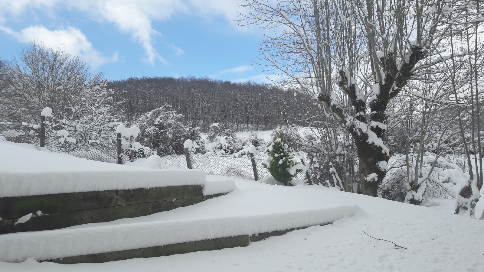 Casa Rural Idiara - Navarra photo 6, apartment accommodation in Biskarreta on the Camino Frances