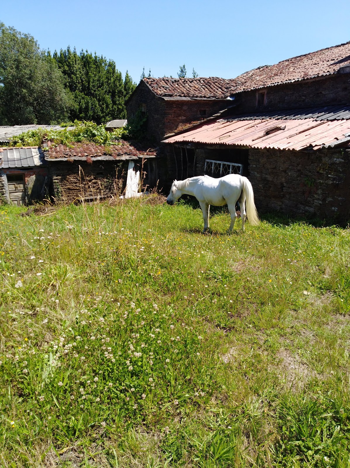 Albergue Rural Astrar photo 18, albergue accommodation in Santa Irene on the Camino Frances