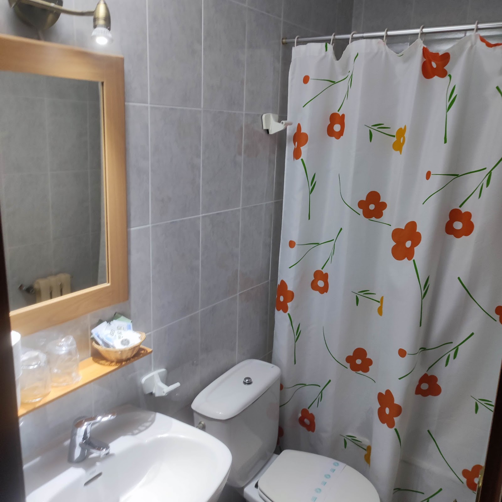Hostal San Martín photo 3, pension accommodation in Mansilla de las Mulas on the Camino Frances