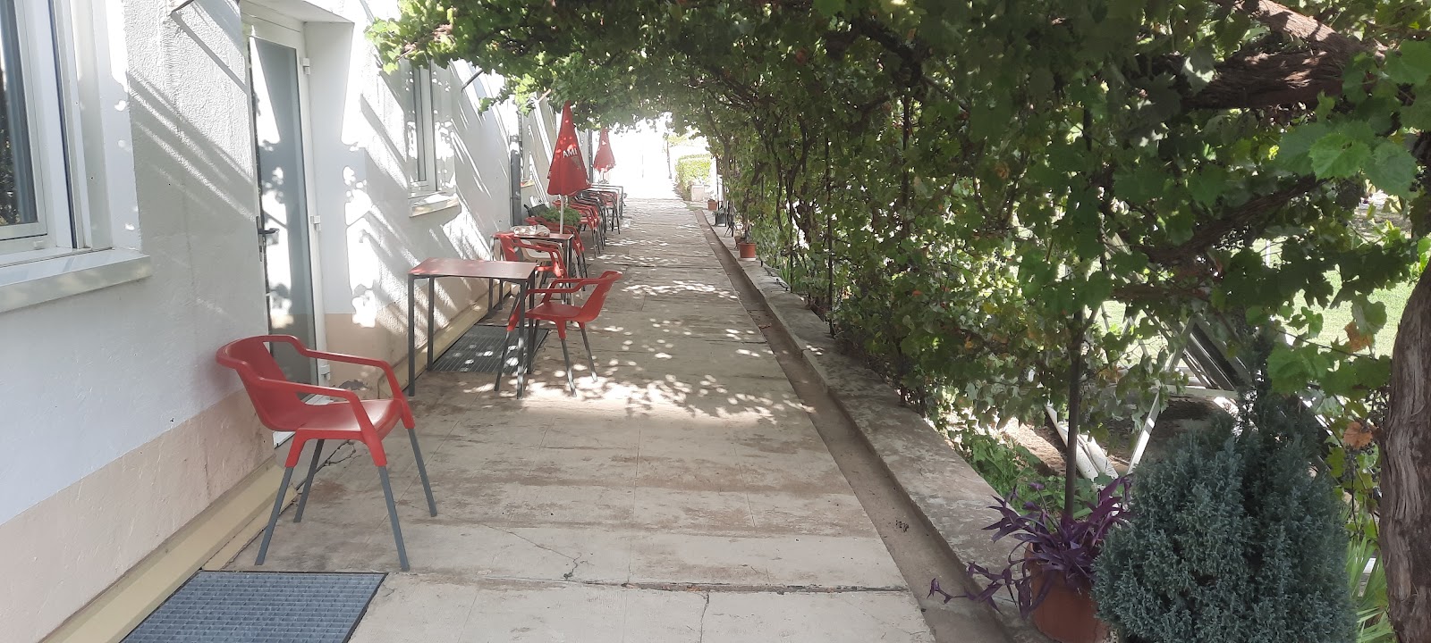 Albergue Capuchinos photo 17, hostel accommodation in Estella on the Camino Frances