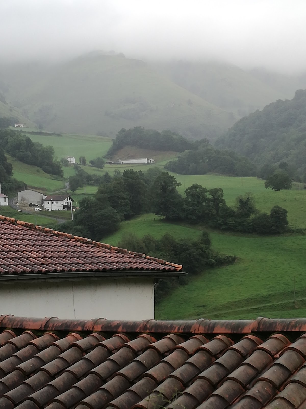 Bidandaenea photo 4, pension accommodation in Valcarlos on the Camino Frances