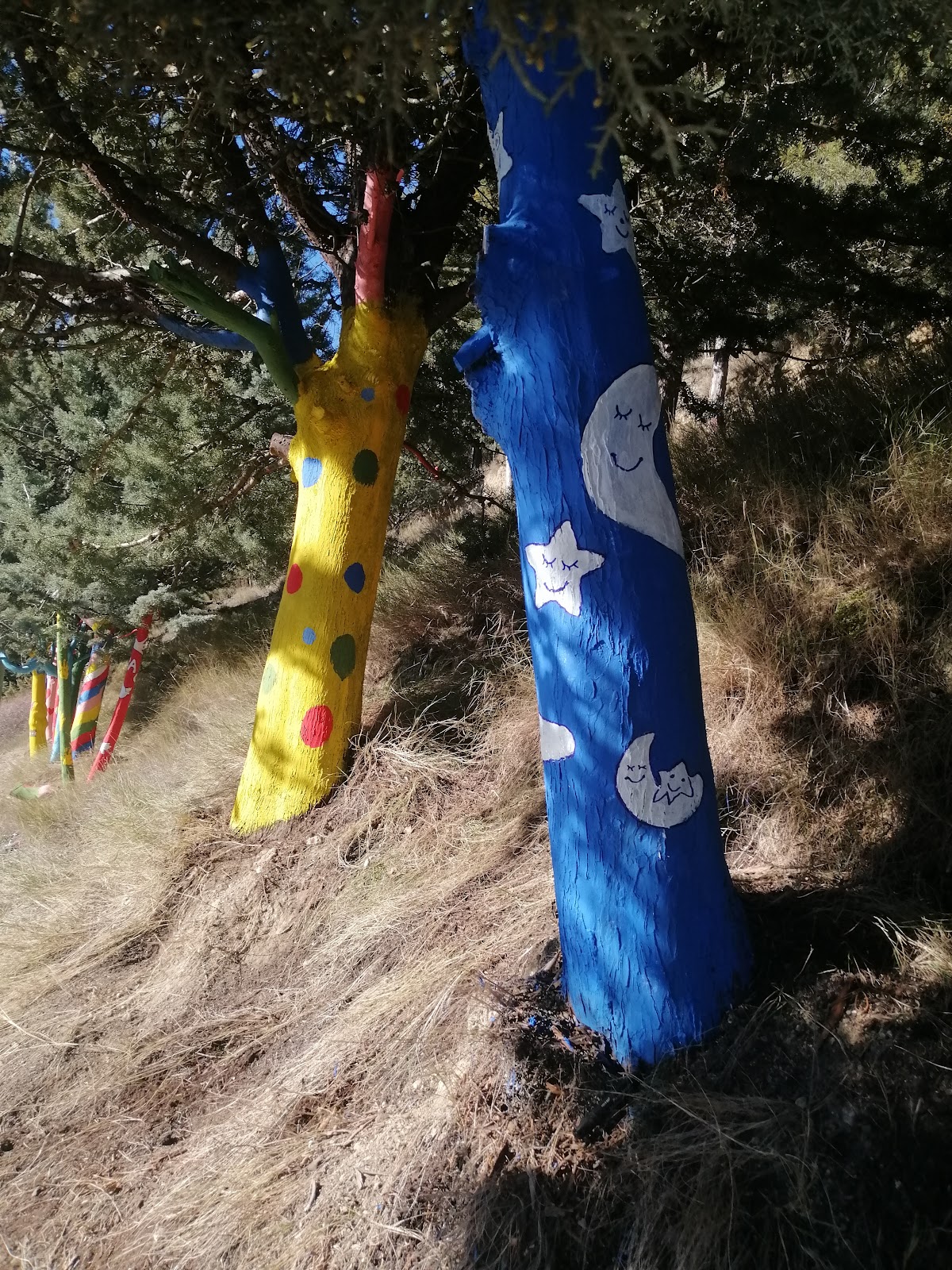"A Santiago" Hotel photo 17, hotel accommodation in Belorado on the Camino Frances