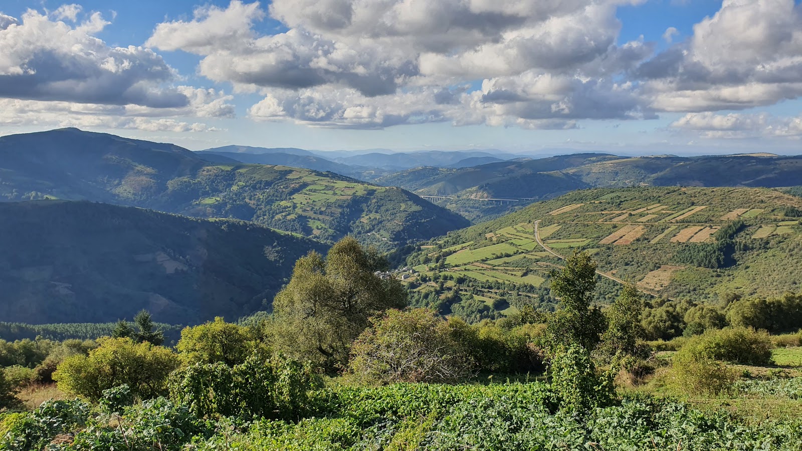 Venta Celta photo 12, guesthouse accommodation in O Cebreiro on the Camino Frances