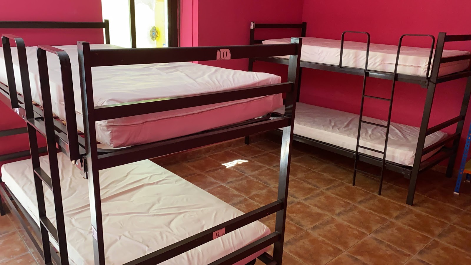 Hostel La Casa Austria source photo 2, albergue accommodation in Los Arcos on the Camino Frances