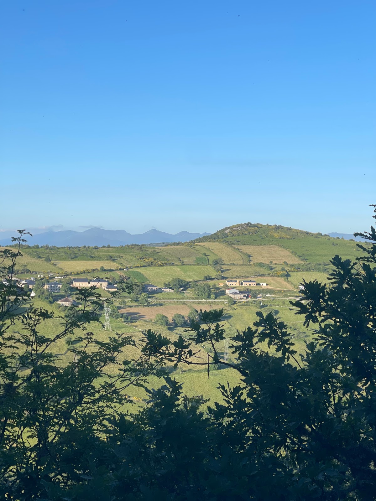 Casa Galego Alojamiento photo 20, guesthouse accommodation in Fonfria on the Camino Frances