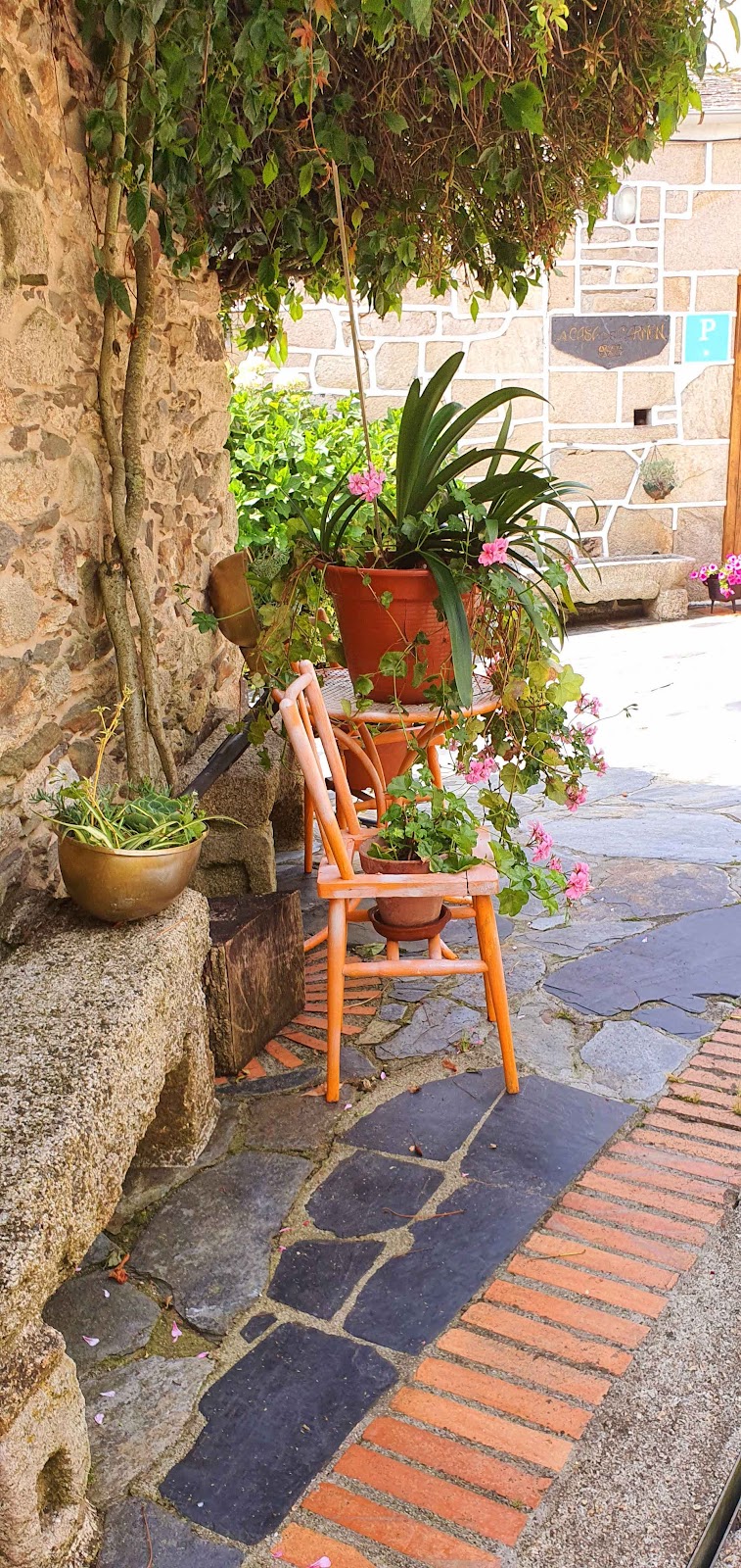 Albergue A casa de Carmen photo 15, hostel accommodation in Barbadelo on the Camino Frances