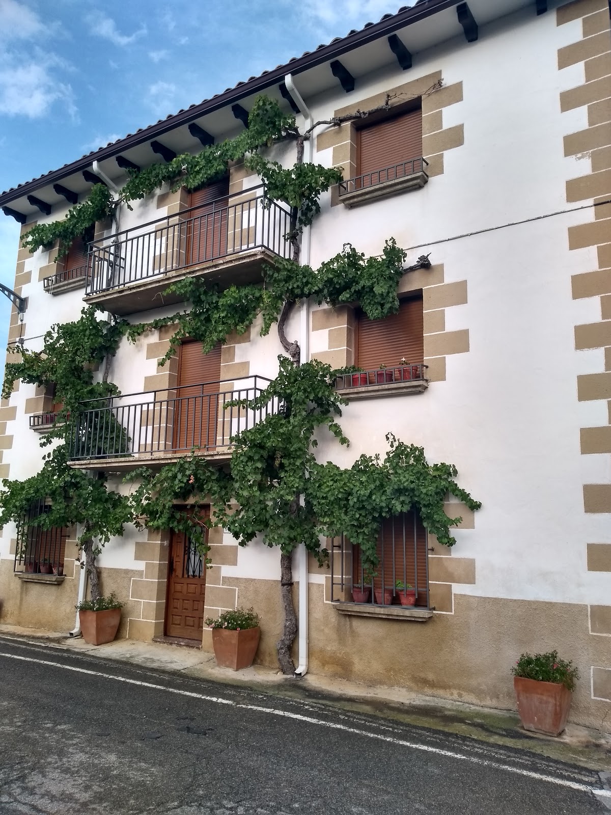 La Perla Negra, Perigrino lodging. photo 9, albergue accommodation in Azqueta on the Camino Frances