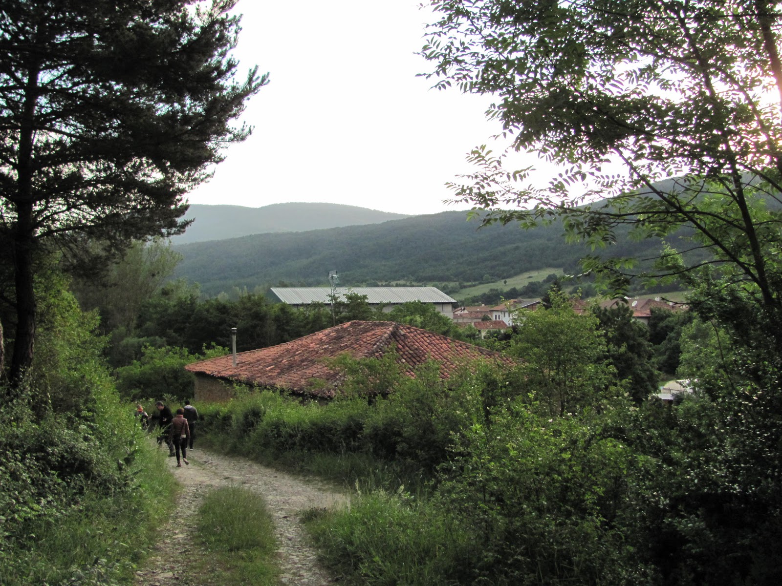 Pensión El Peregrino de Larrasoaña photo 7, pension accommodation in Larrasoaña on the Camino Frances
