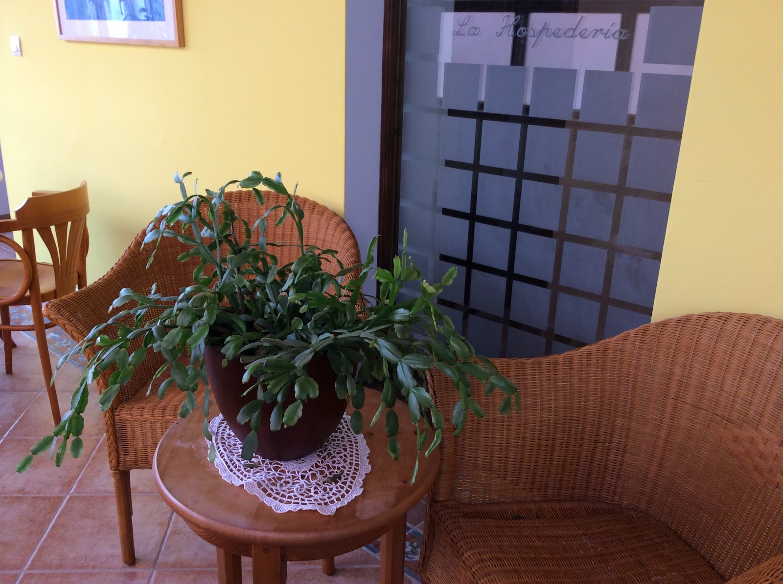 Hostal Albe photo 6, pension accommodation in Carrión de los Condes on the Camino Frances