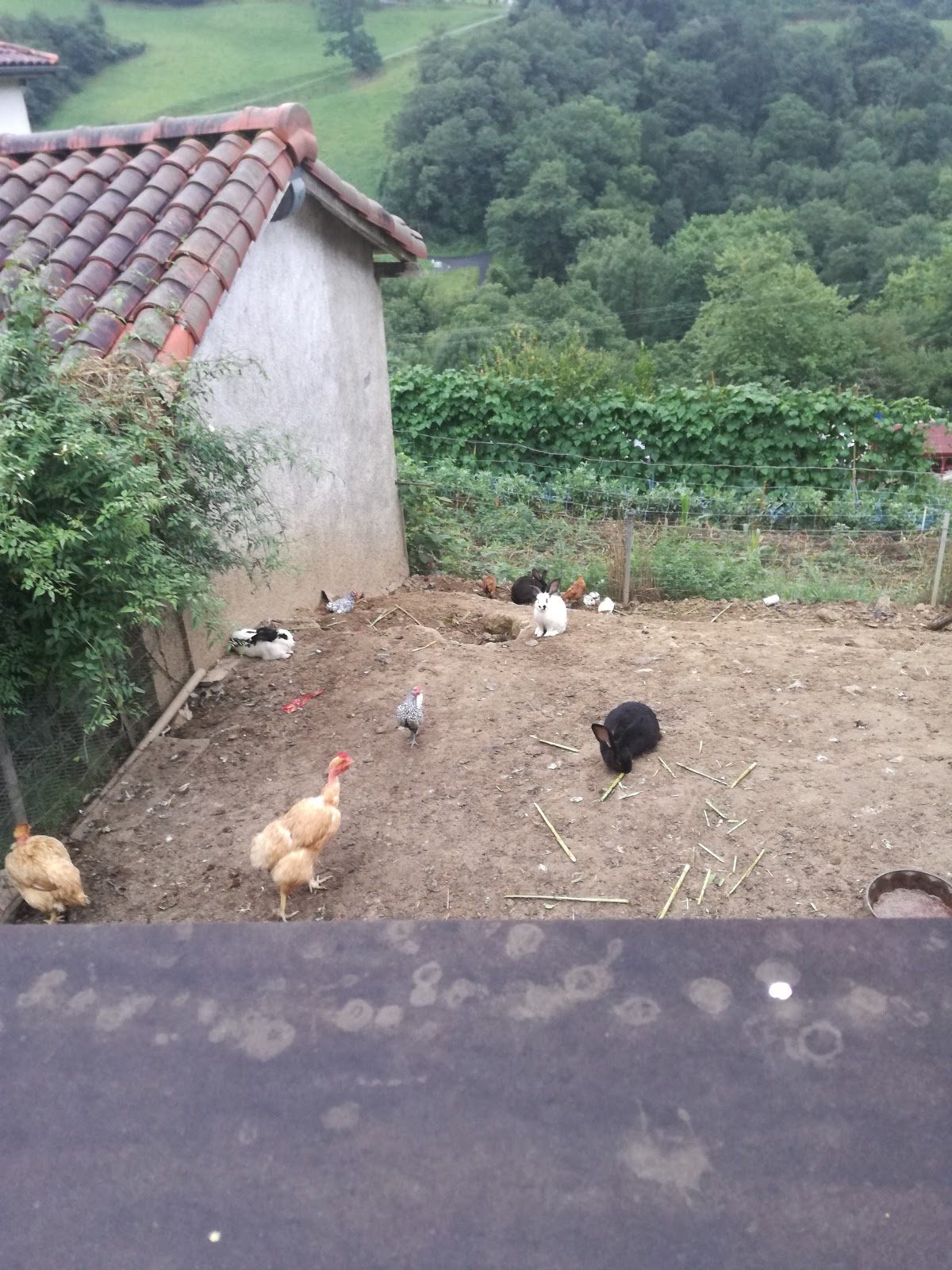 Bidandaenea photo 5, pension accommodation in Valcarlos on the Camino Frances