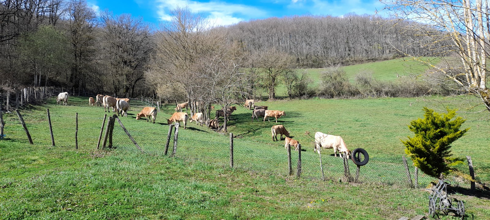 Casa Rural Idiara - Navarra photo 2, apartment accommodation in Biskarreta on the Camino Frances