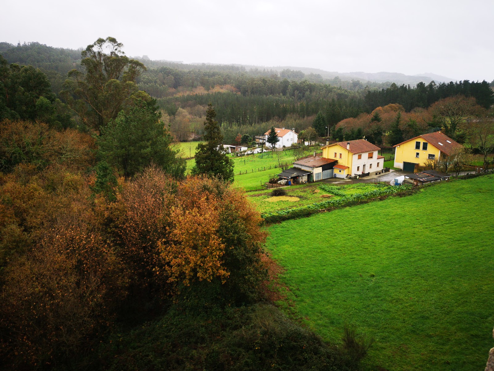 Pensión Residencial Platas photo 15, guesthouse accommodation in Pedrouze / Arca on the Camino Frances