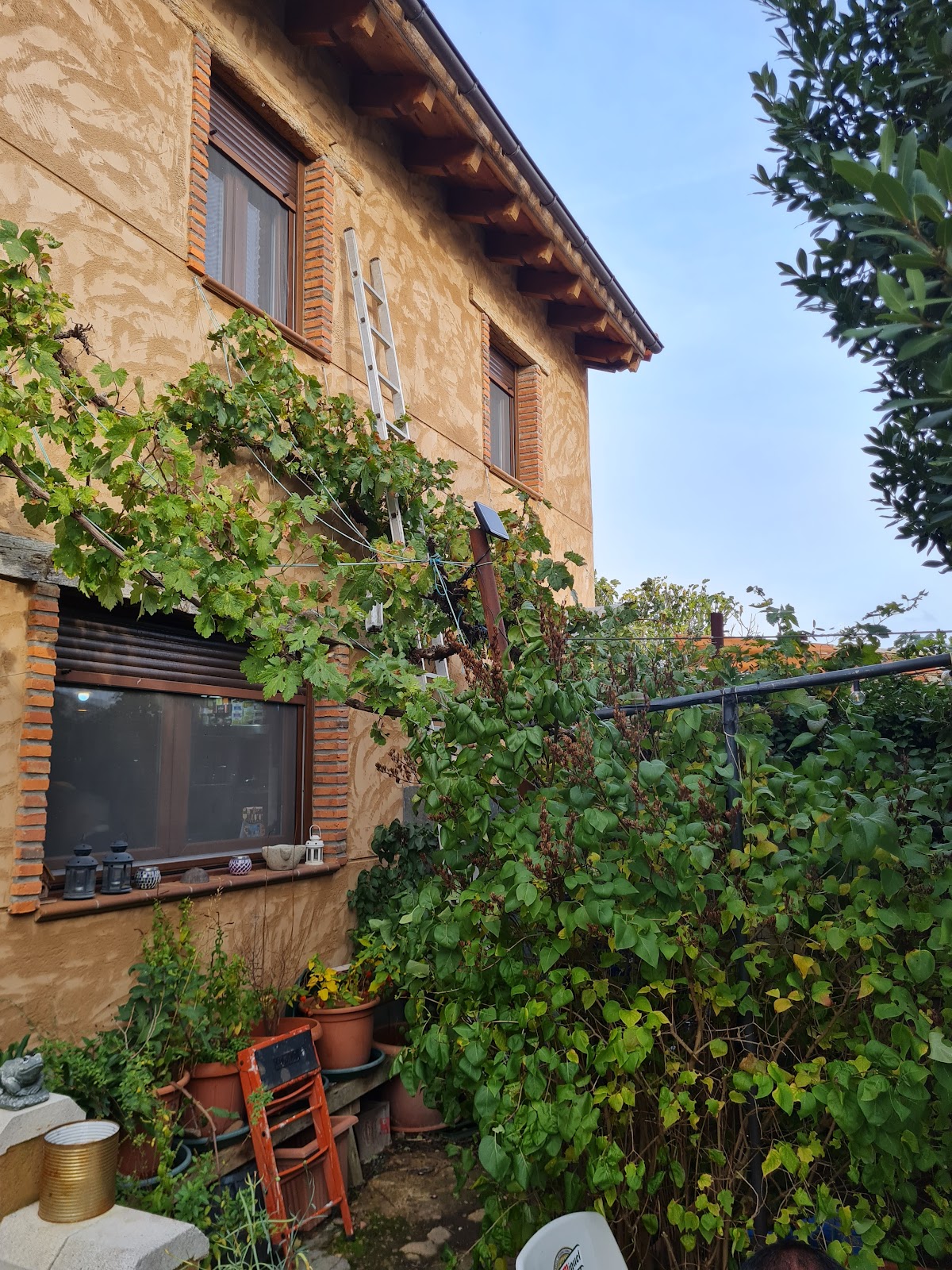 Albergue Santa Clara photo 7, albergue accommodation in Bercianos del Real Camino on the Camino Frances