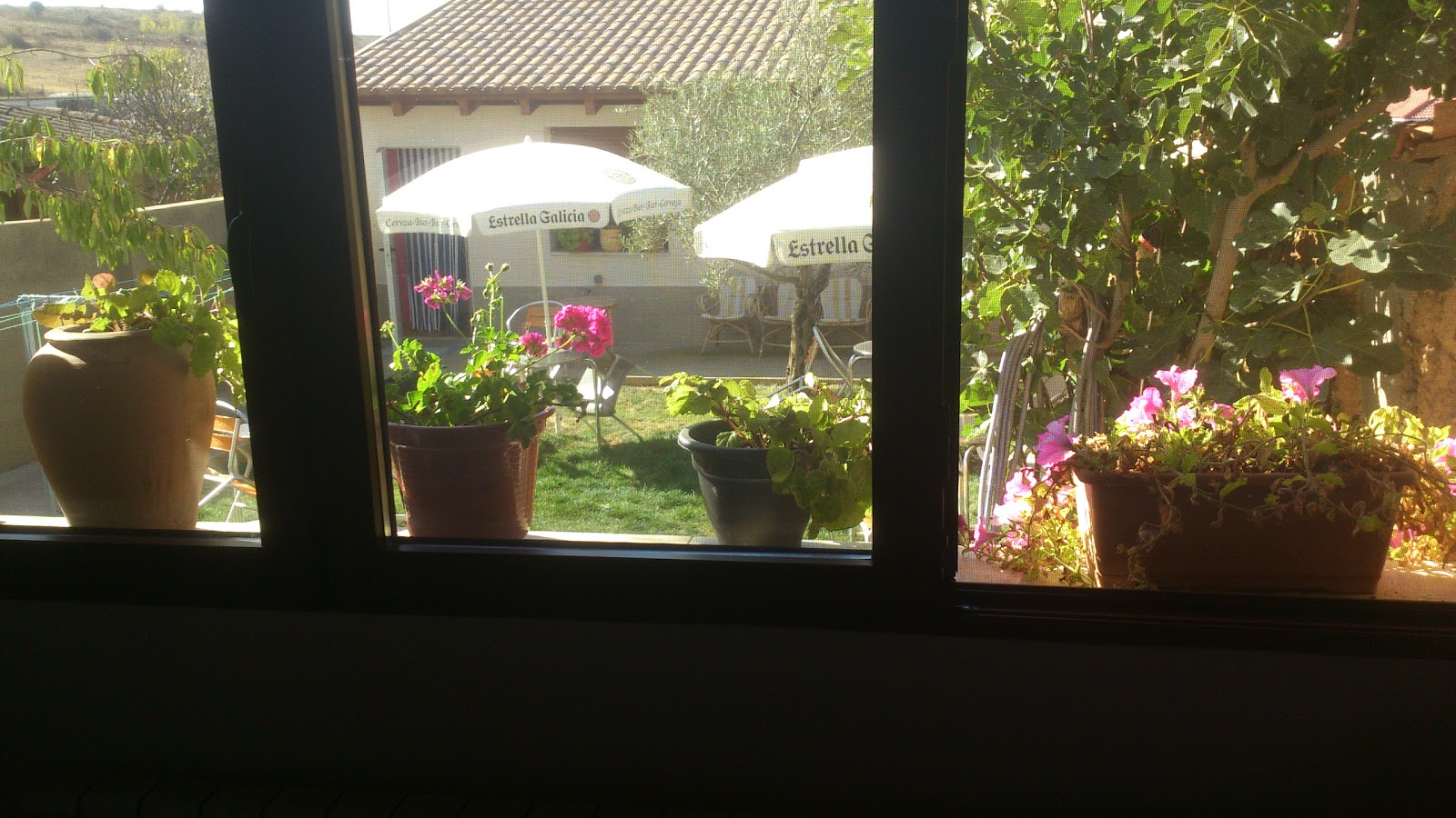 Albergue Vive tu Camino photo 3, albergue accommodation in Reliegos on the Camino Frances