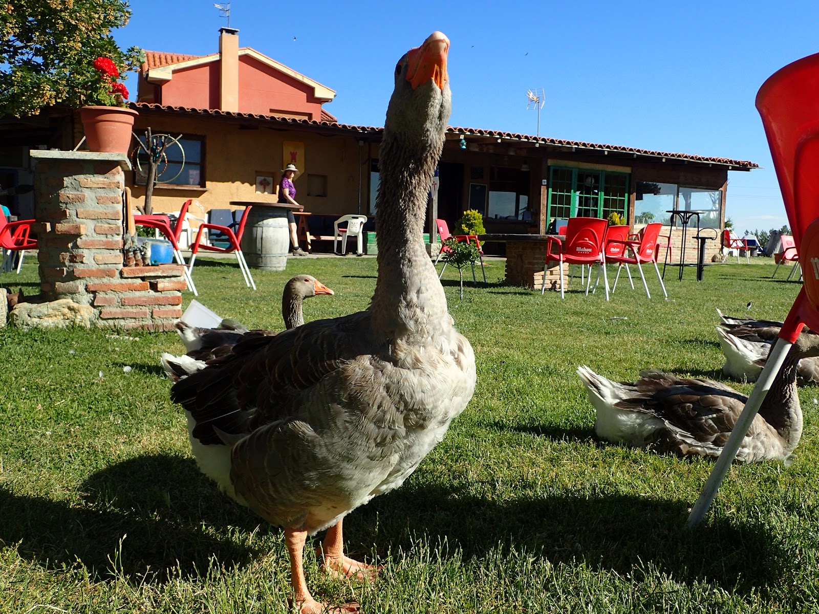 Albergue Amanecer photo 10, albergue accommodation in Villarmentero de Campos on the Camino Frances