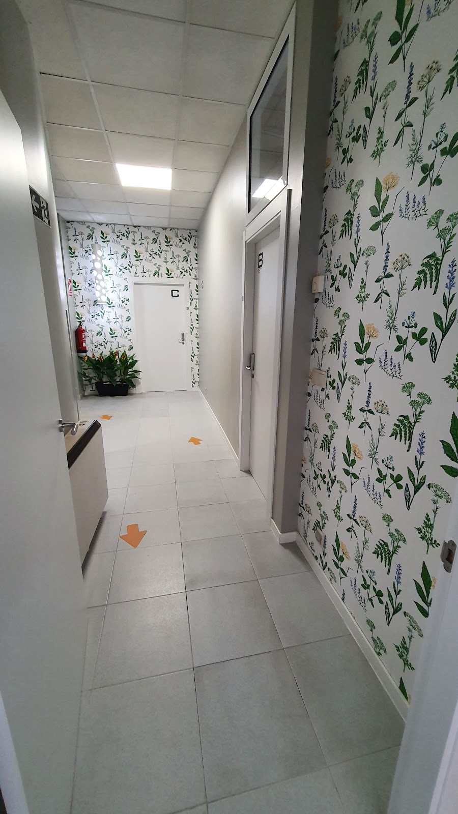La Credencial Hostel photo 6, albergue accommodation in Santiago de Compostela on the Camino Frances