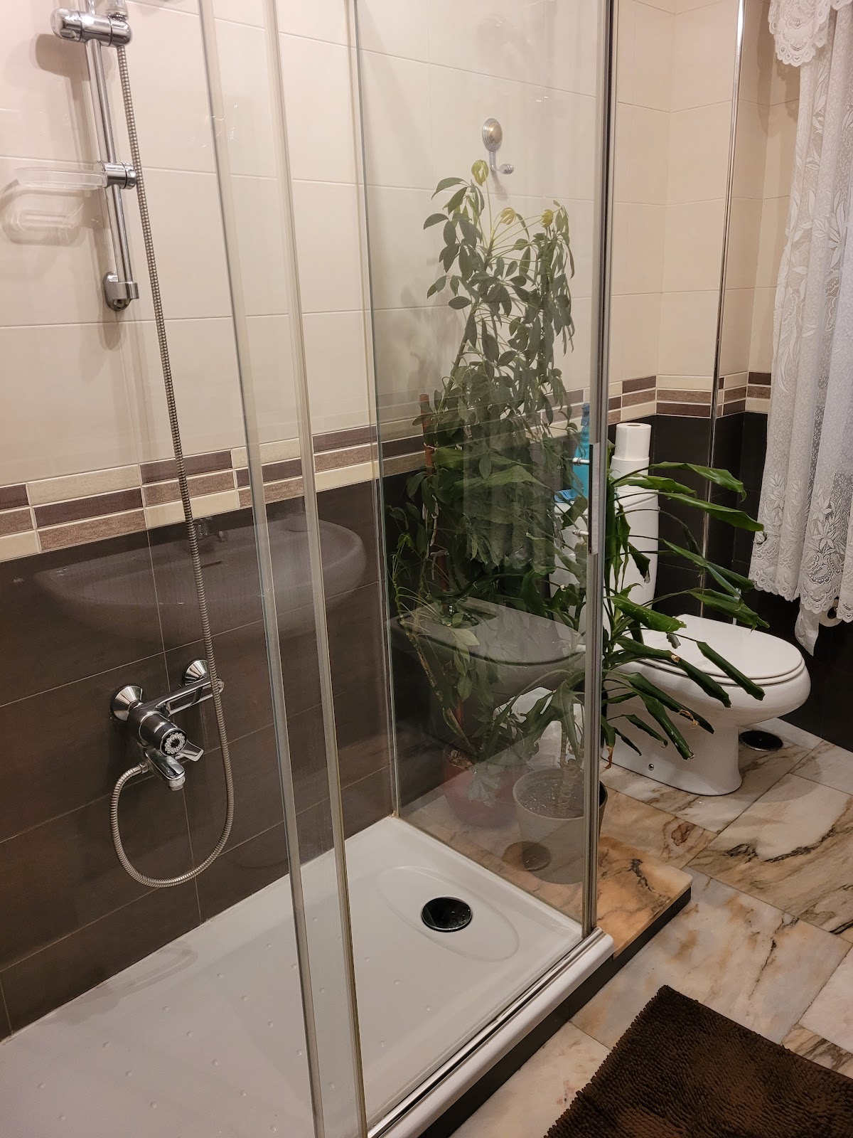 Pension O Camiño photo 15, guesthouse accommodation in Sarria on the Camino Frances