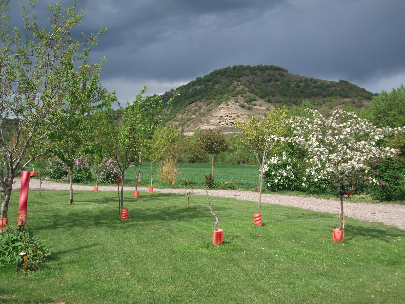 Albergue San Luis de Francia photo 10, albergue accommodation in Villamayor del Rio on the Camino Frances
