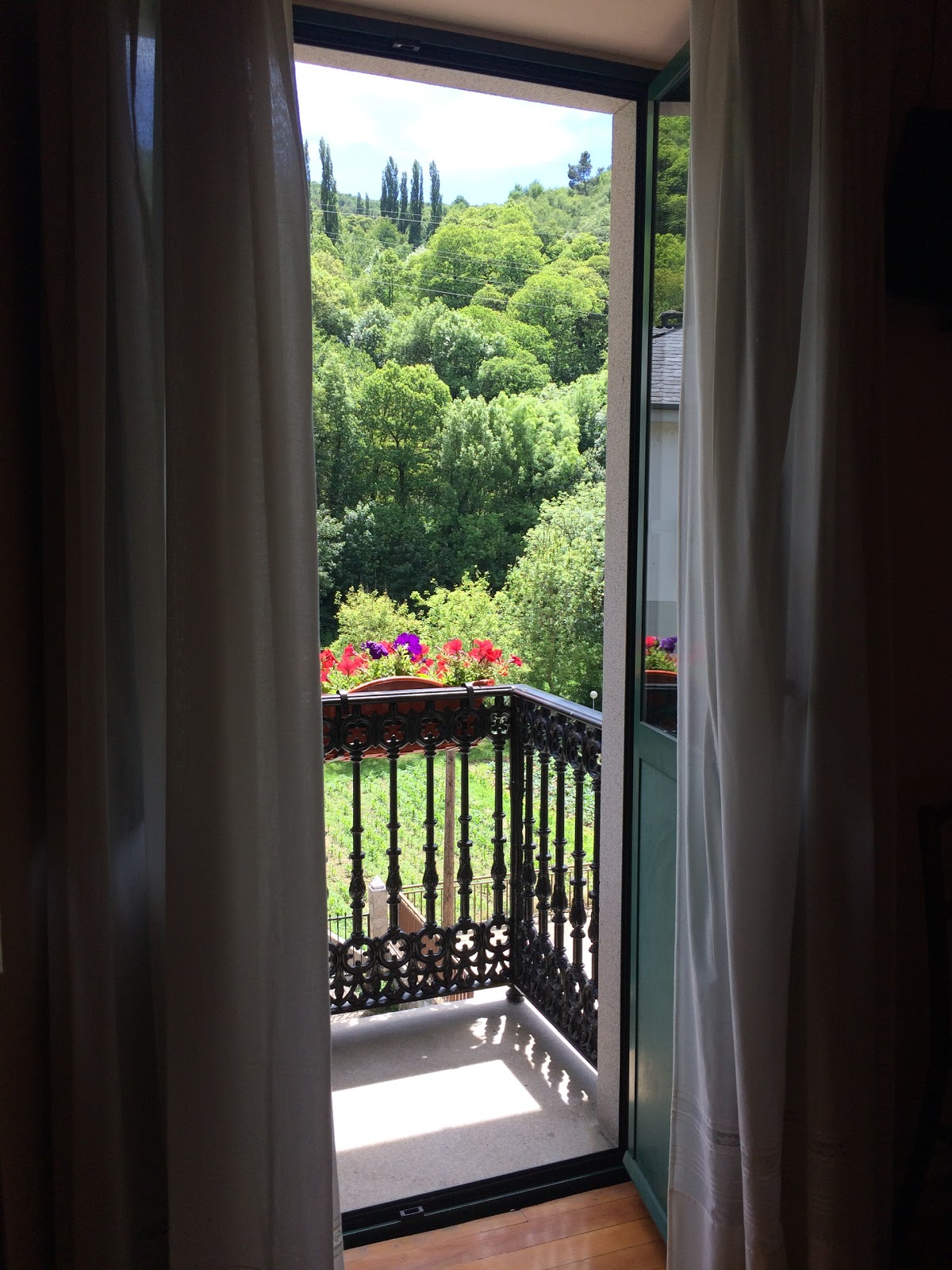 Casa Licerio - Samos photo 9, pension accommodation in Samos on the Camino Frances