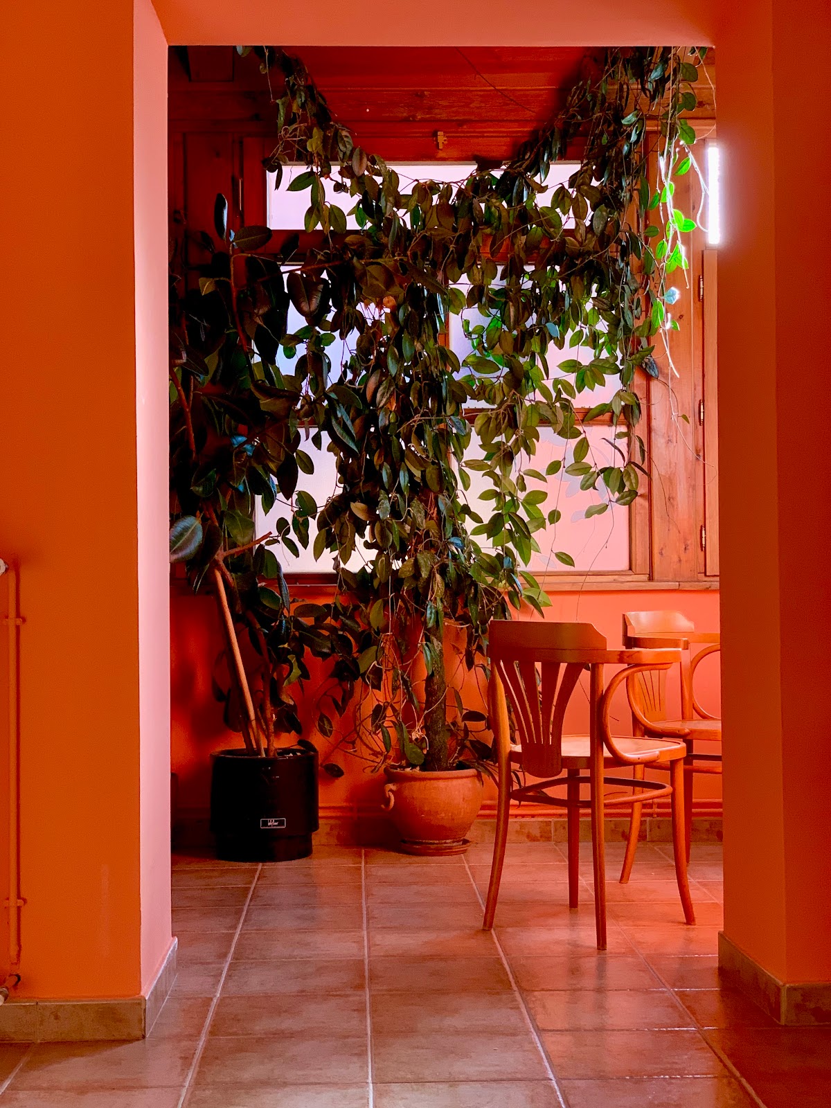 Hostal Albe photo 10, pension accommodation in Carrión de los Condes on the Camino Frances
