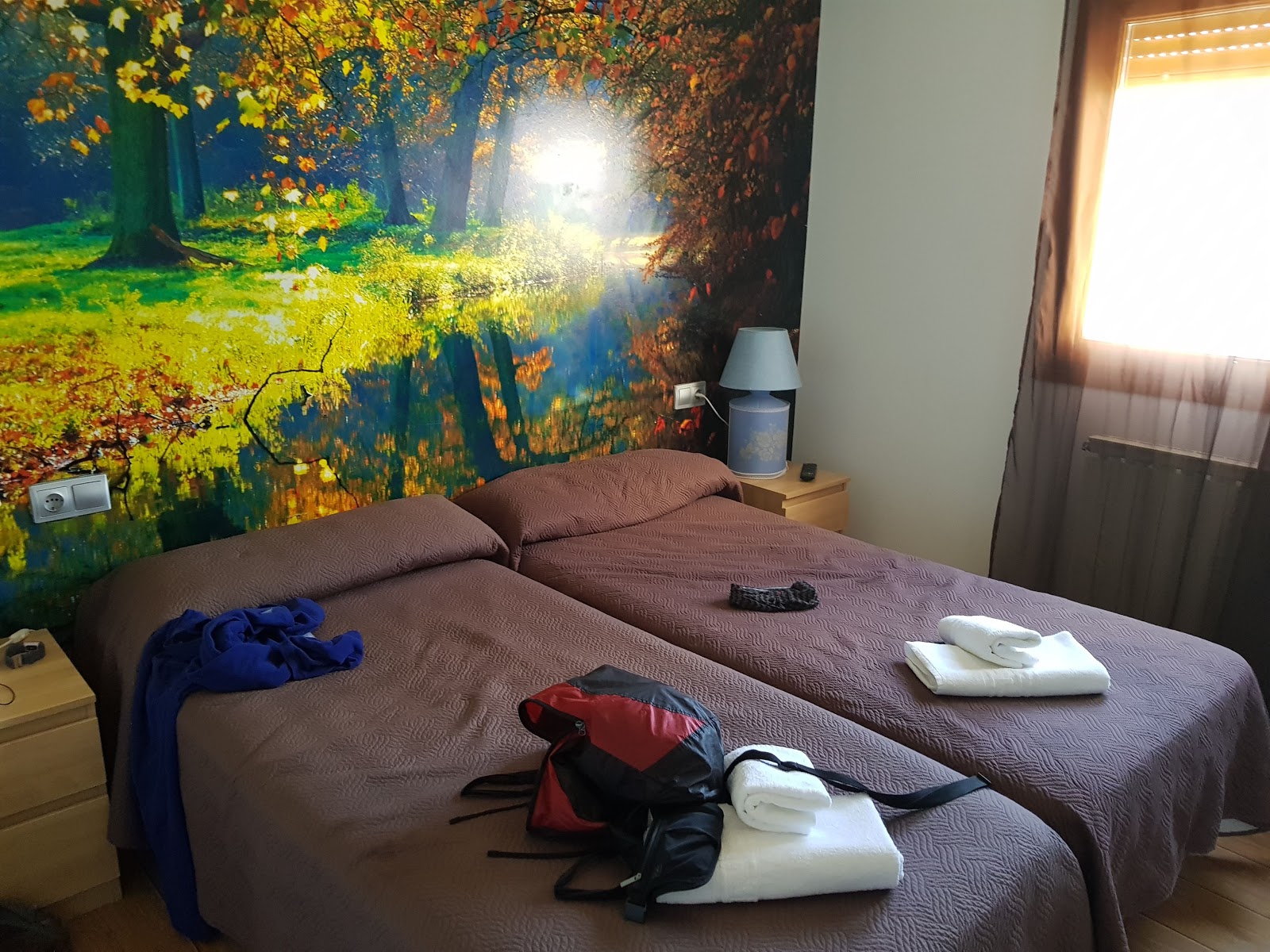 Albergue Zendoira photo 2, albergue accommodation in Palas de Rei on the Camino Frances