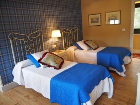 LA CALLEJA photo 6, apartment accommodation in Castañeda on the Camino Frances
