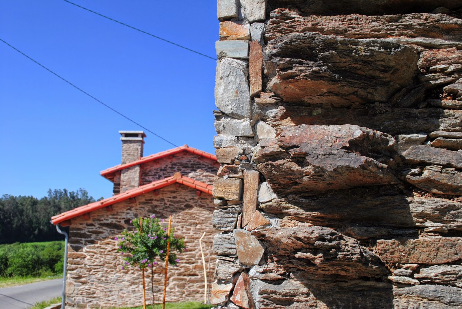 Albergue Rural Astrar photo 15, albergue accommodation in Santa Irene on the Camino Frances