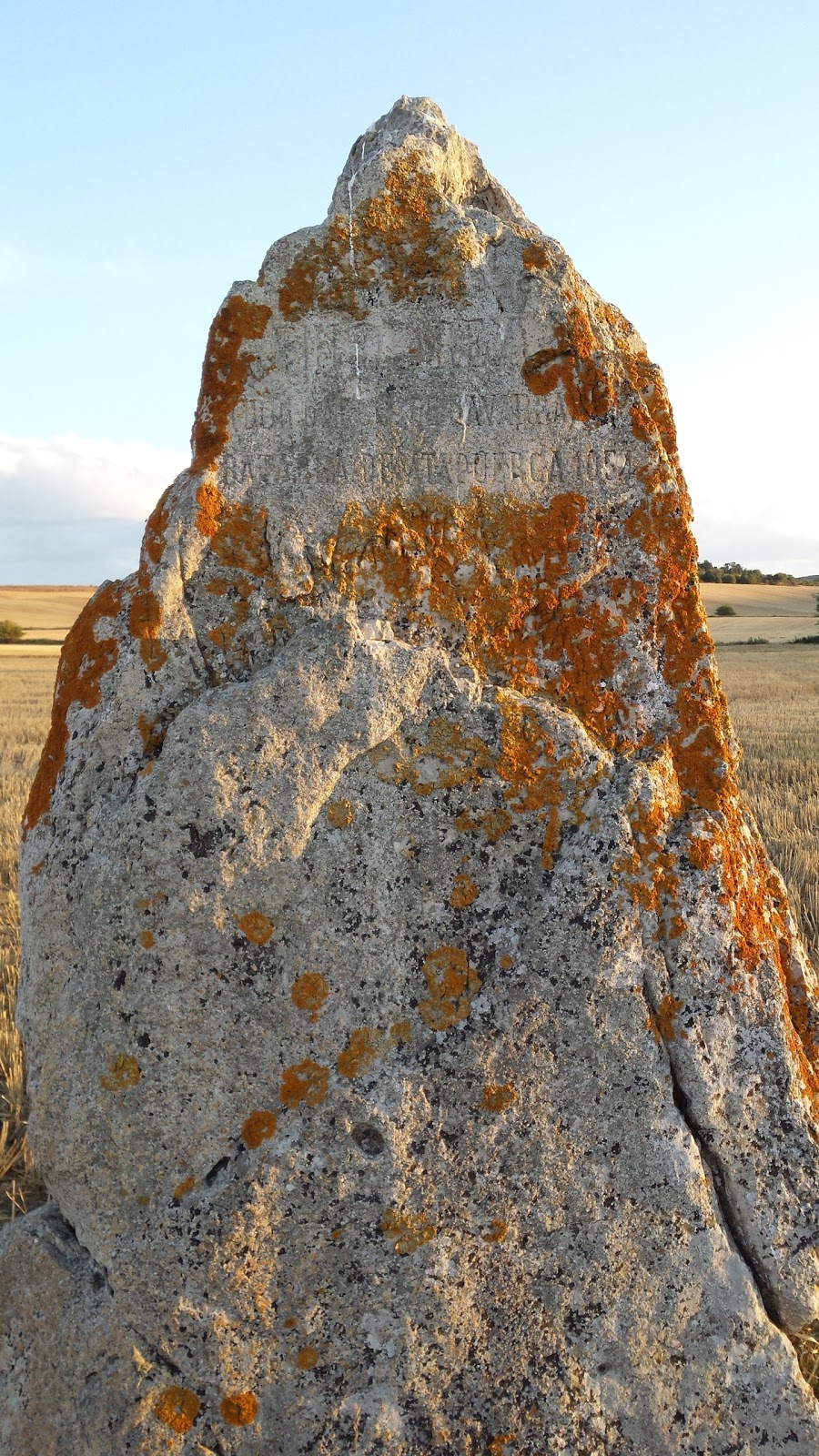 La Turrumbera de Atapuerca. Casa rural photo 6, pension accommodation in Atapuerca on the Camino Frances