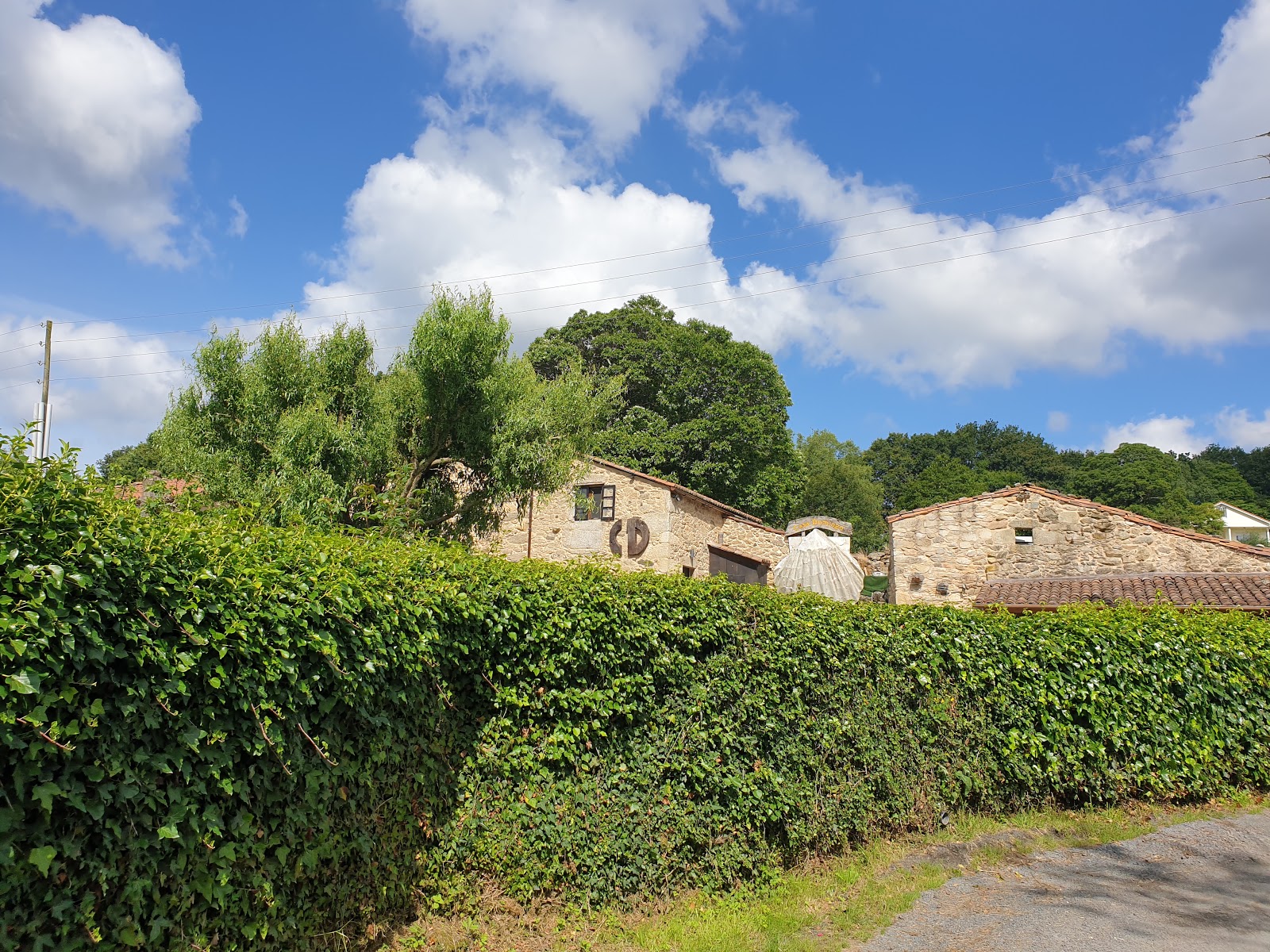 Albergue Casa Domingo photo 7, albergue accommodation in Pontecampaña on the Camino Frances