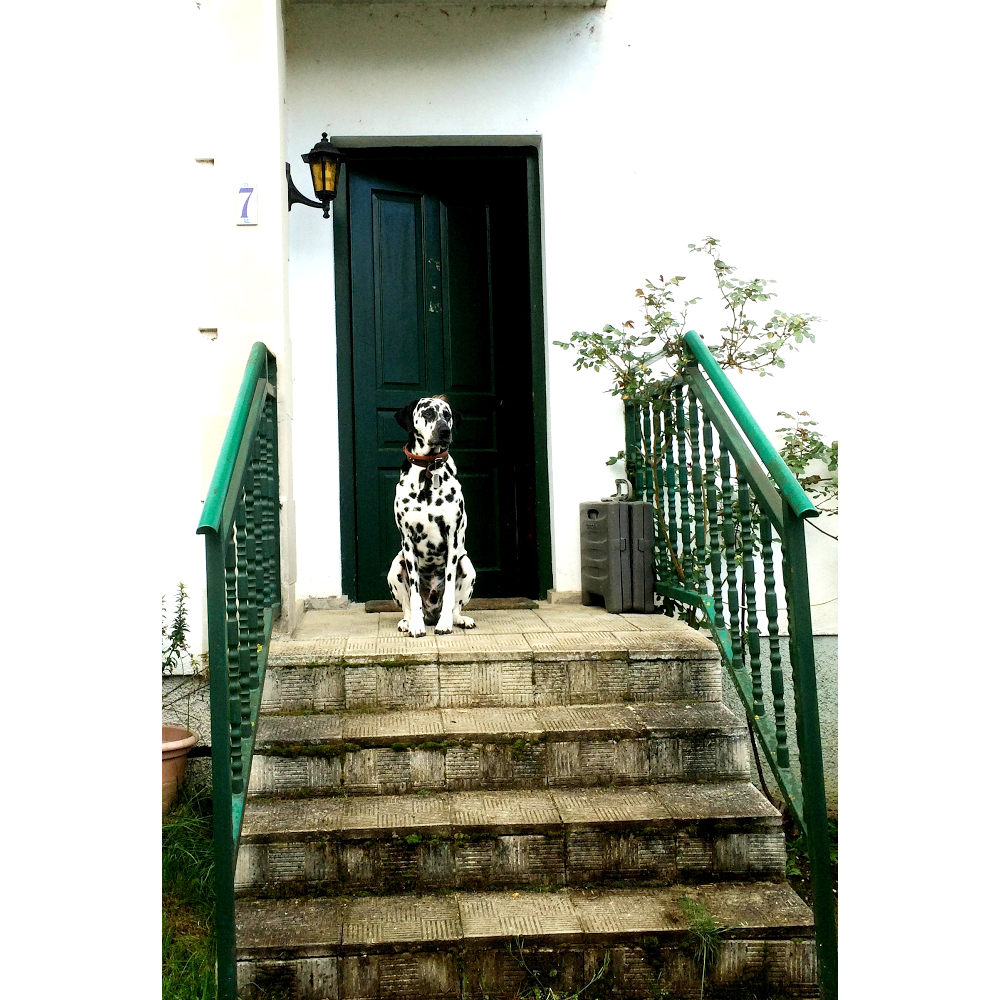 Casa Elita Hostal-Pension-Chambres, pension accommodation in Larrasoaña on the Camino Frances