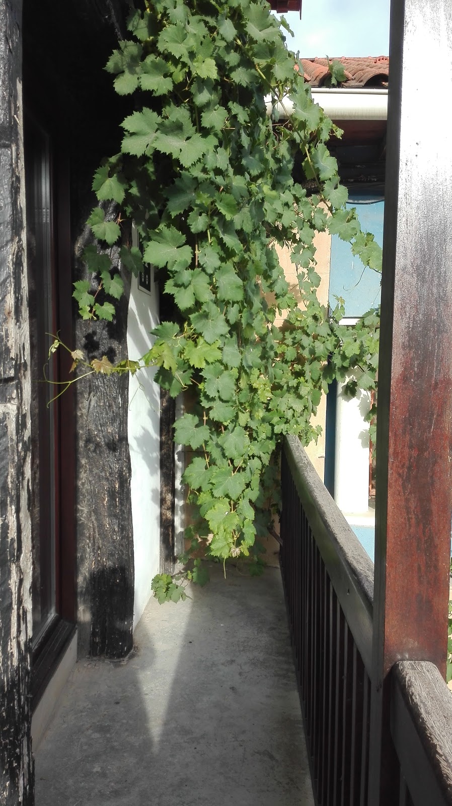 ALBERGUE EL PALO DE AVELLANO photo 10, albergue accommodation in Zubiri on the Camino Frances