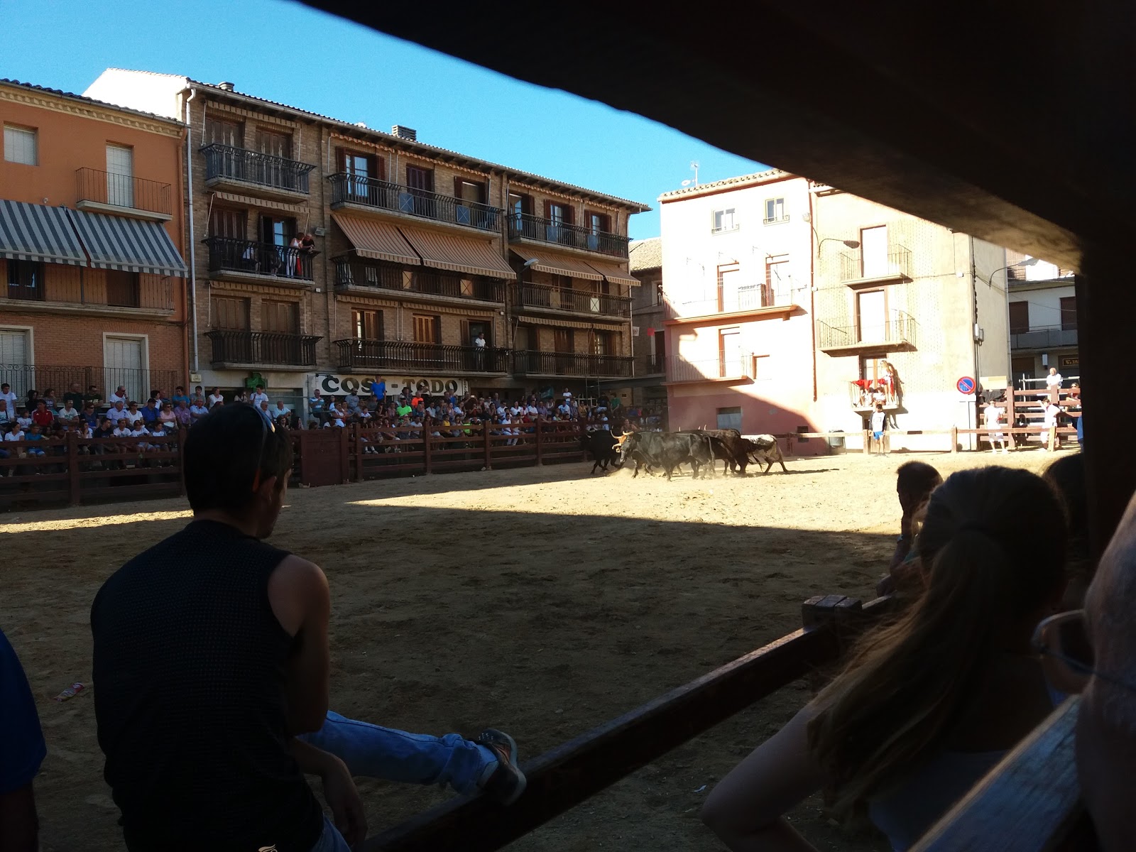 Monaco photo 5, hotel accommodation in Los Arcos on the Camino Frances
