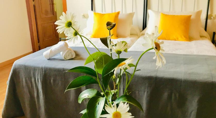 Mar de Frisia photo 19, guesthouse accommodation in Brea/San Miguel de Cerceda on the Camino Frances