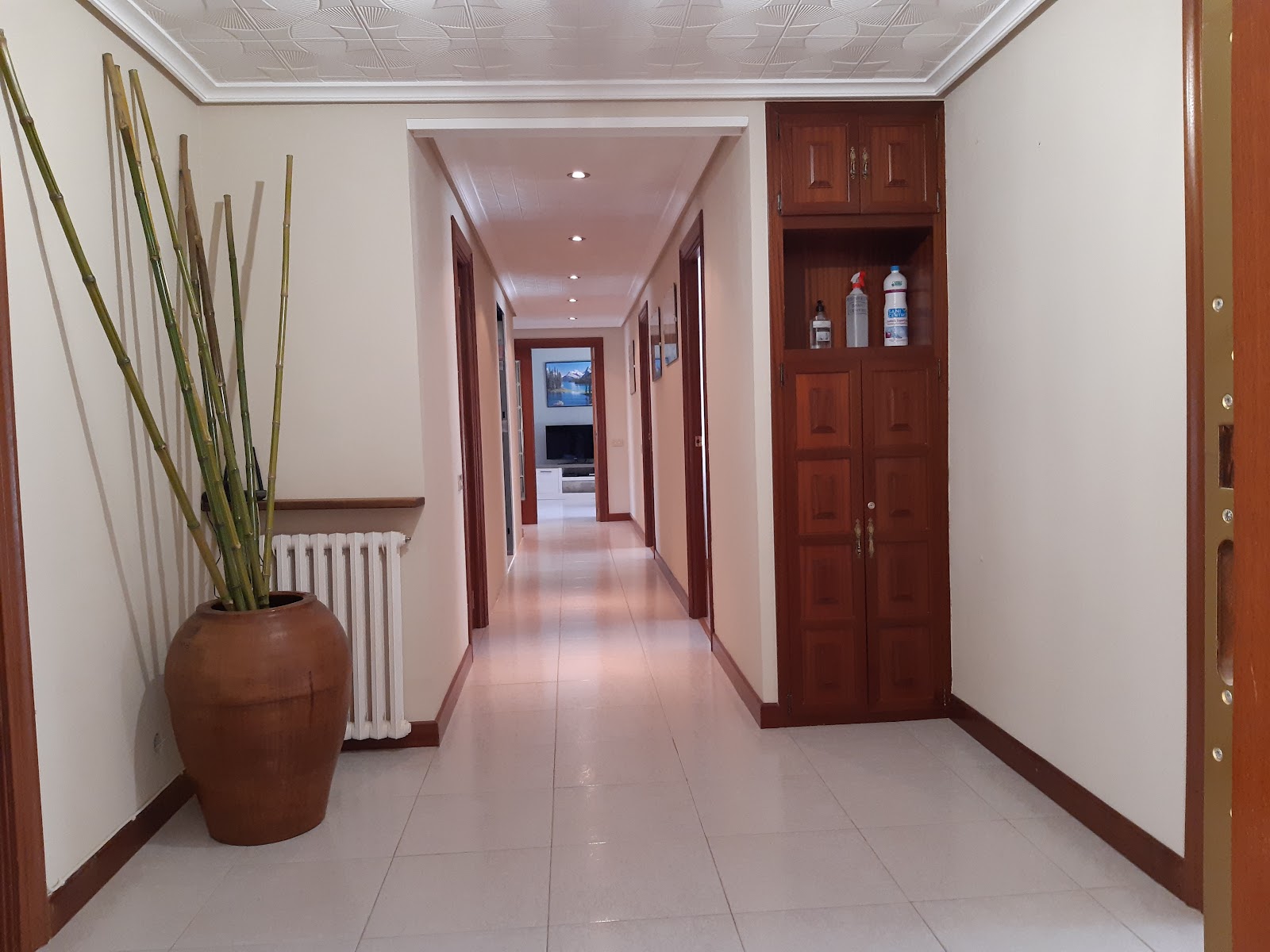 Apartamento los Borgia photo 4, apartment accommodation in Viana on the Camino Frances